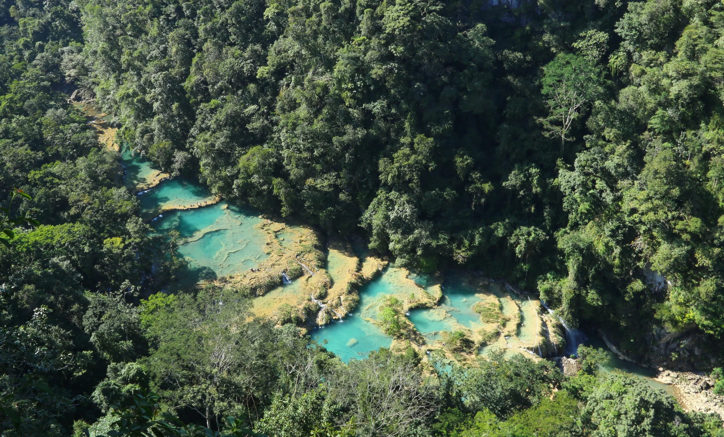 Natural Turqouise Pools of Semuc Champey in Guatemala