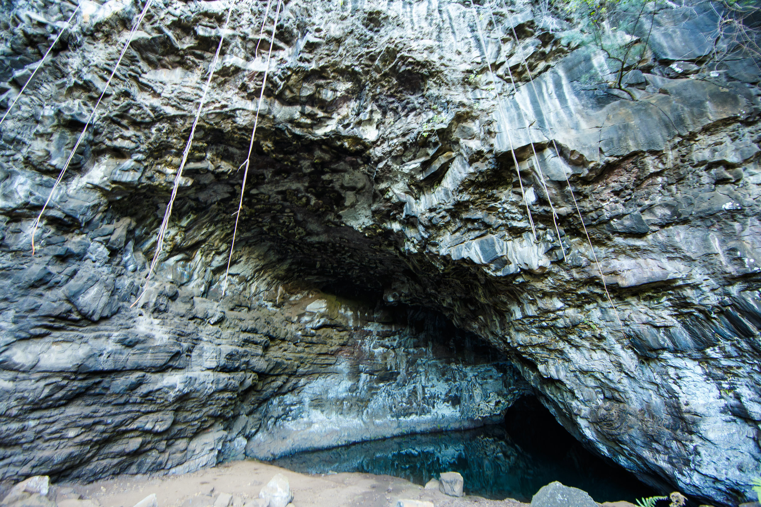 Walking from the car park down to the trailhead, you’ll pass spectacular cave mouths with turquoise water beneath. 