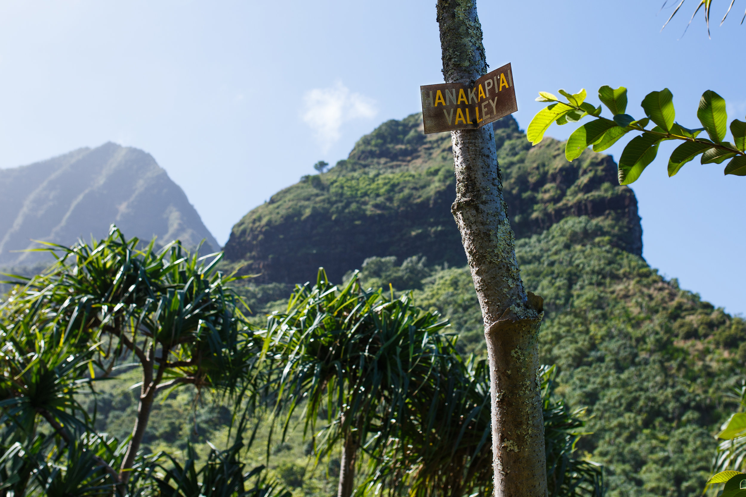  2 miles into the Kalalau Trail, you’ll be welcomed by this sign to the entrance of Hanakapi’ai Valley. 