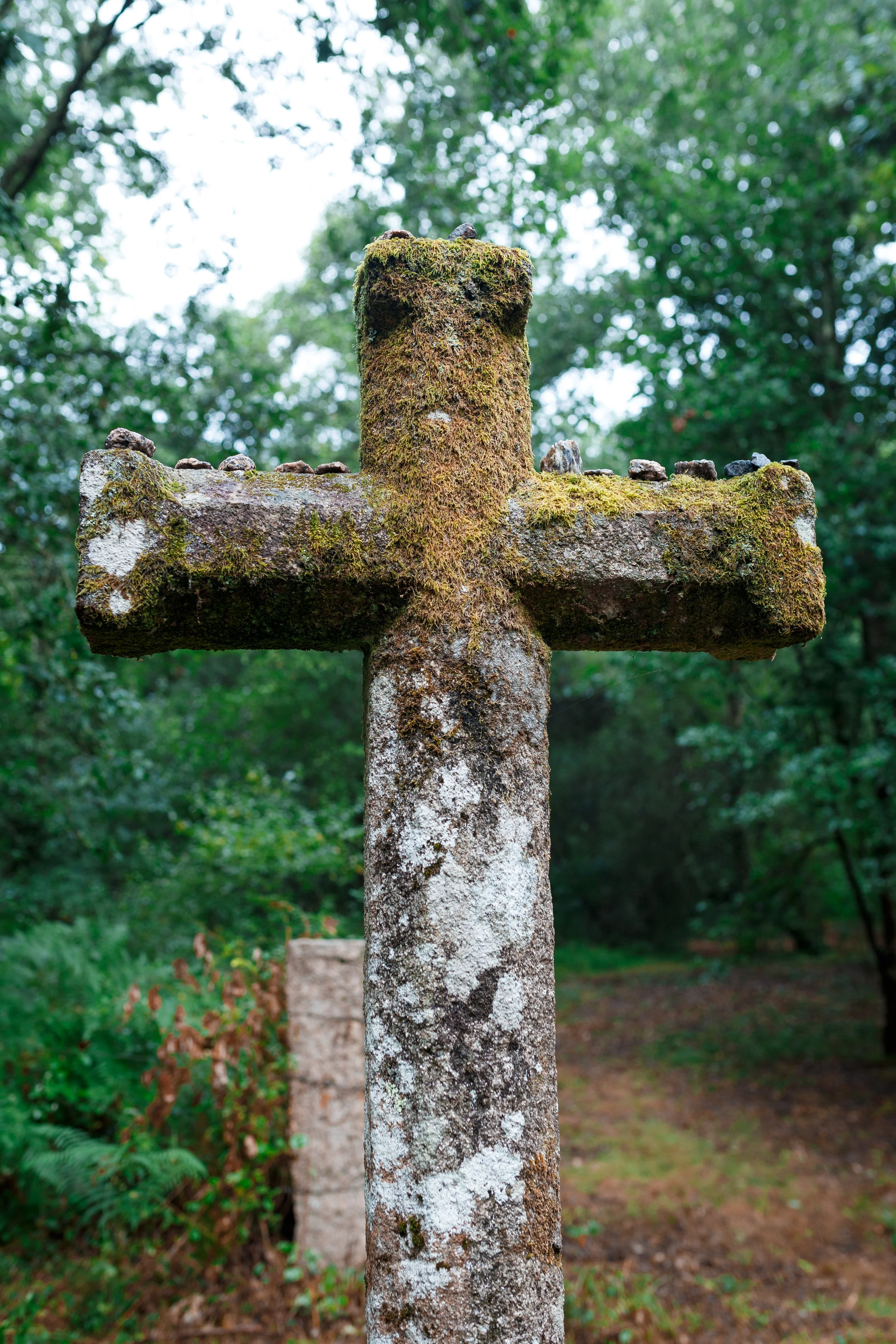 _MG_7890.jpg