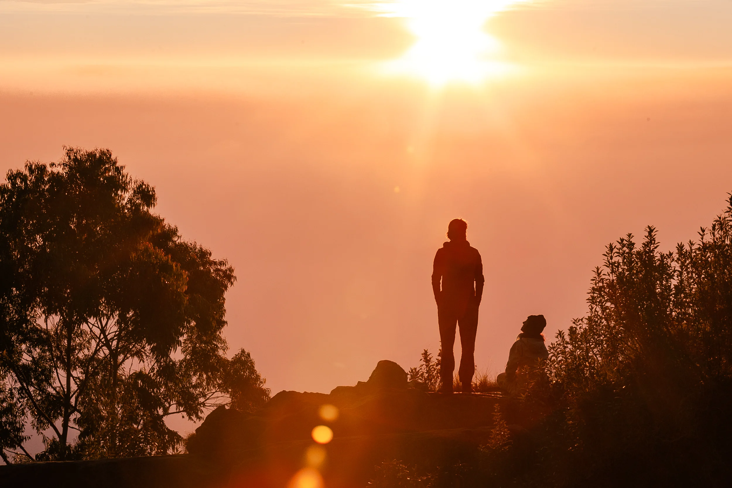 Chasing the Sun