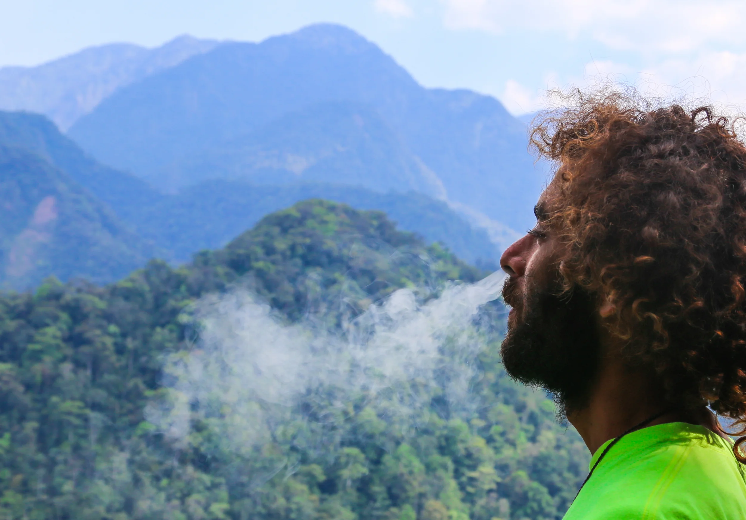 Humo en el bosque nublado