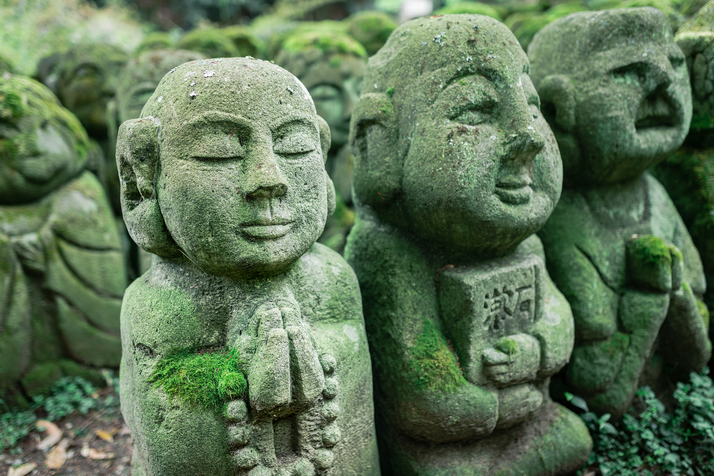 Rakan Buddhist Statues in Japan
