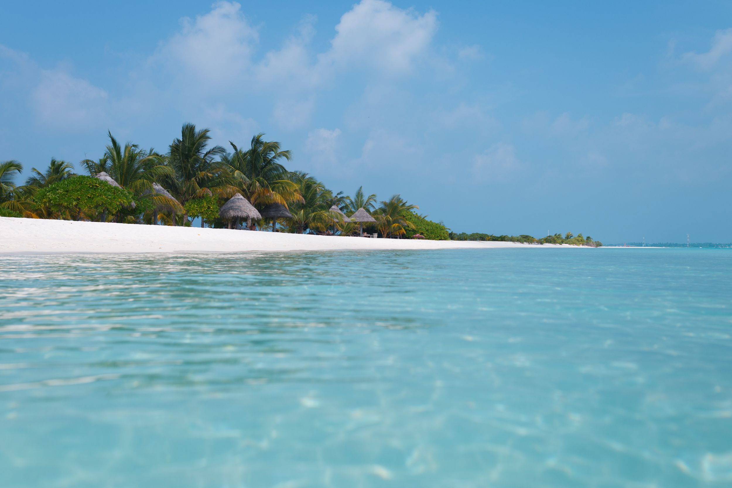 Turquoise Covered Islands