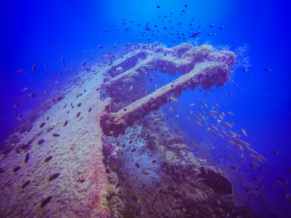  The S.S. Yongala shipwreck. 
