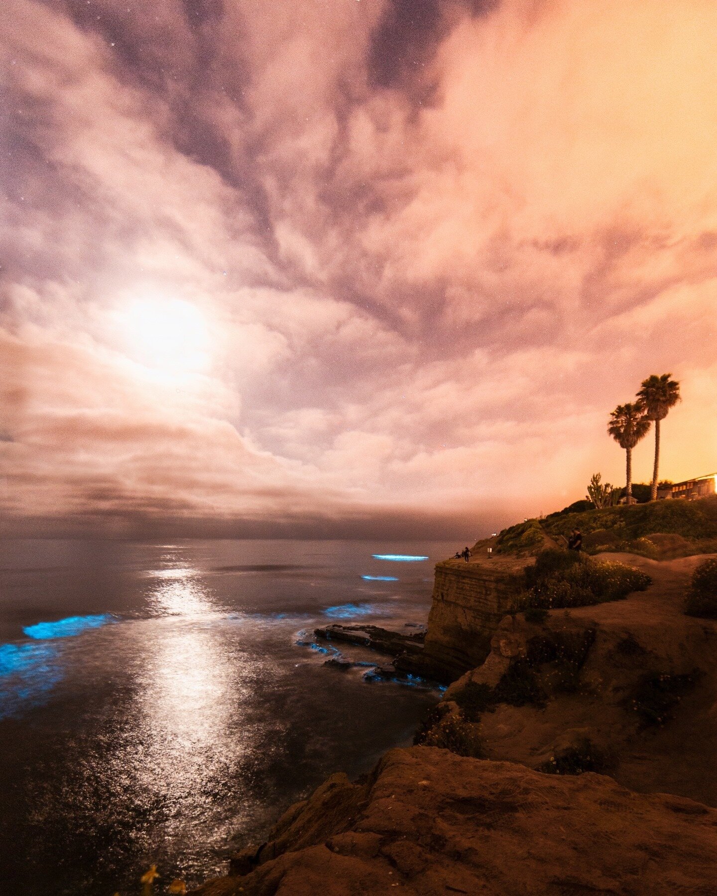 Late last March we got the call that the bioluminescent algae had resurfaced on the shores of San Diego. That first night was a spring tide, when high tide is at its peak in the lunar cycle, and we made our way to the sand to splash in the sparkling 