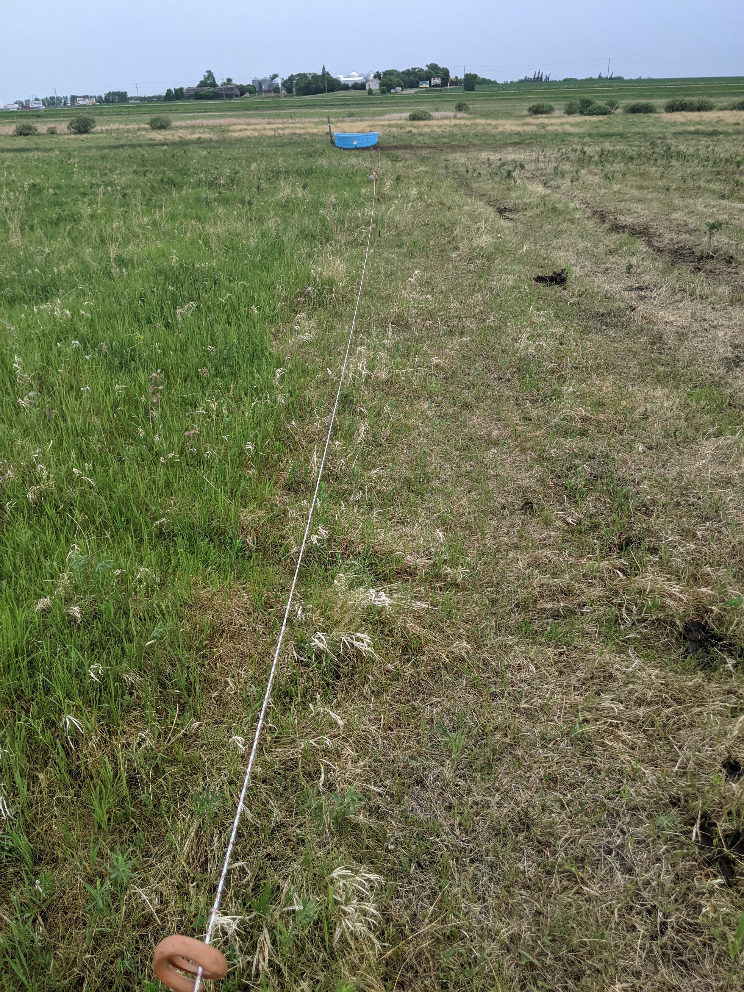 Using temporary fencing to split a larger paddock