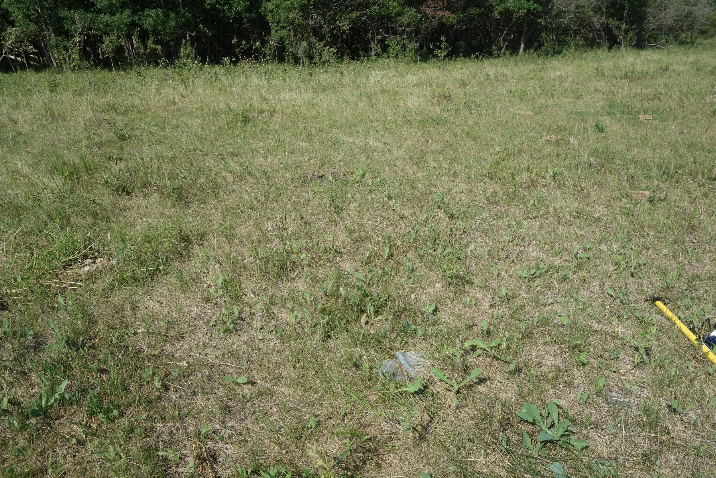 Soil Carbon Monitoring — Manitoba Beef & Forage Initiatives