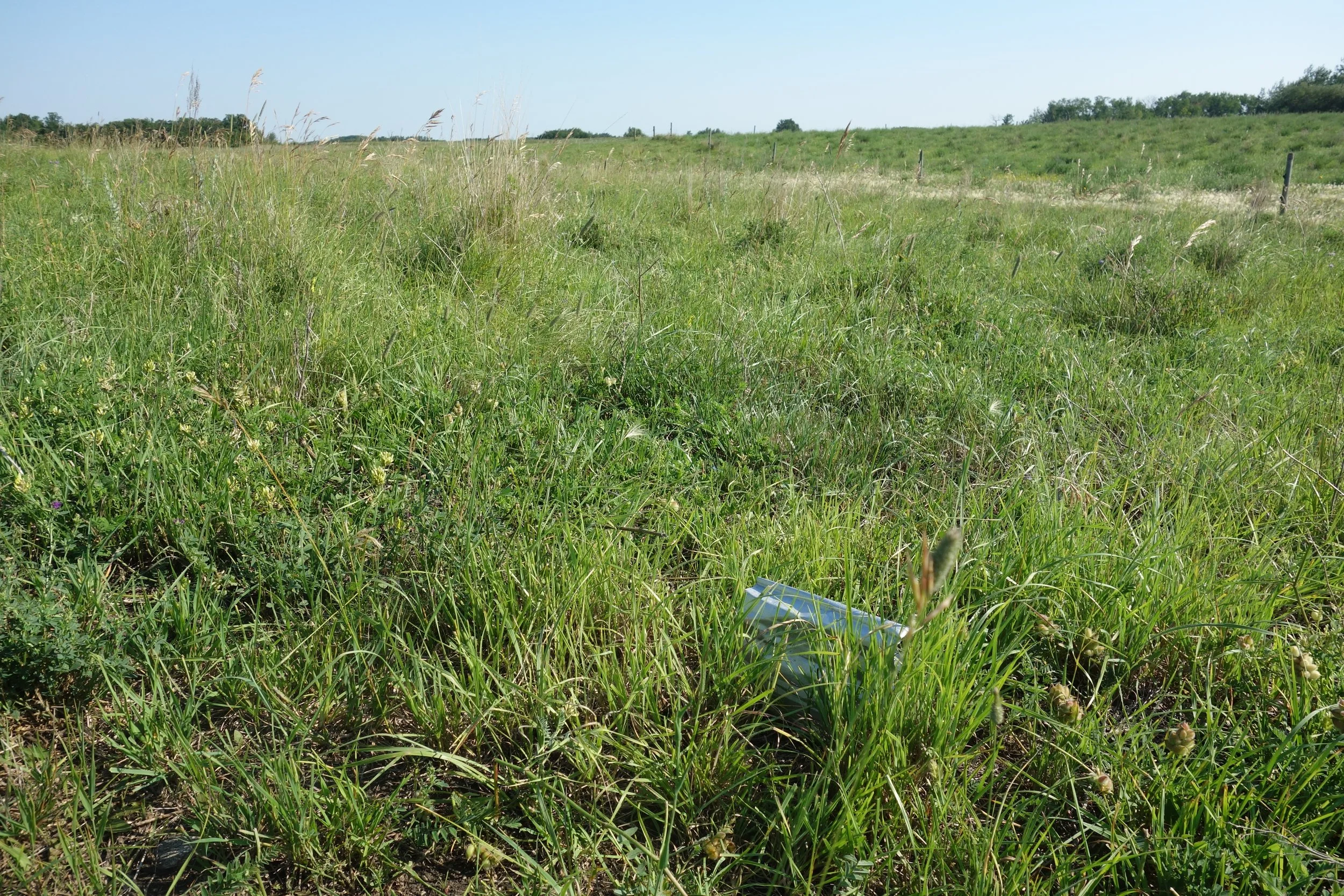 Soil Carbon Monitoring — Manitoba Beef & Forage Initiatives