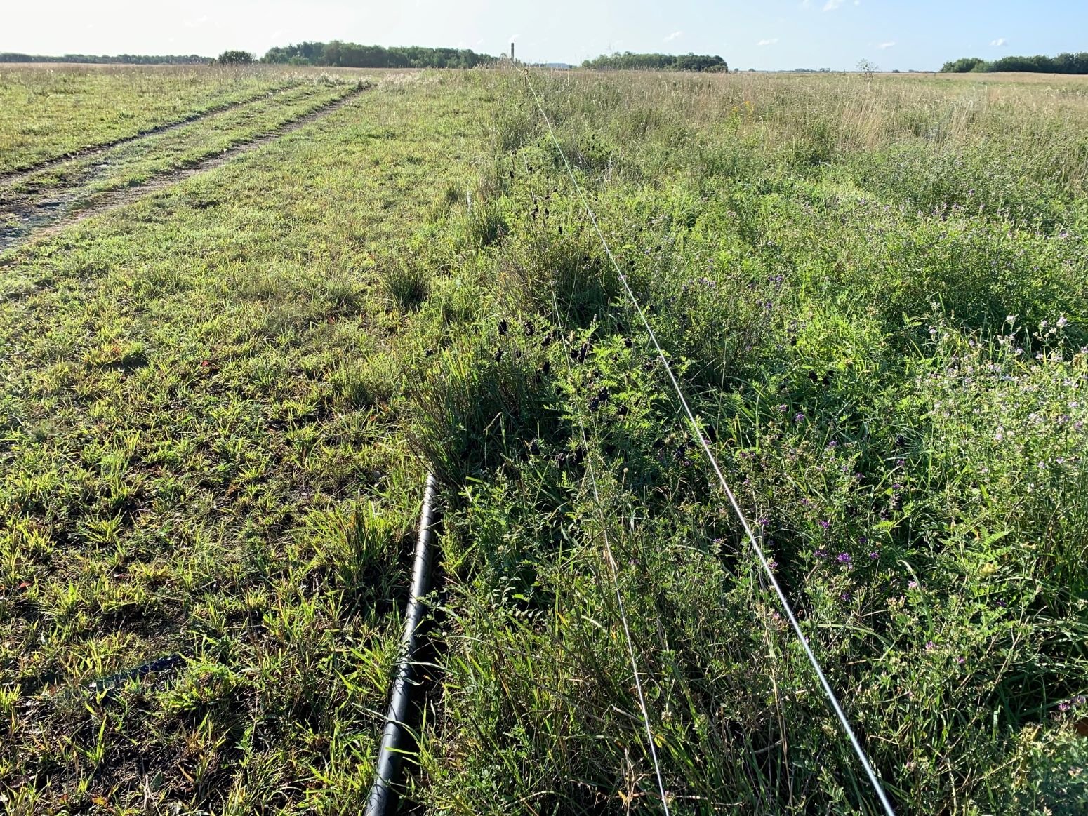 Fenceline comparison of the continuous grazing (left) and planned grazing (right) treatments