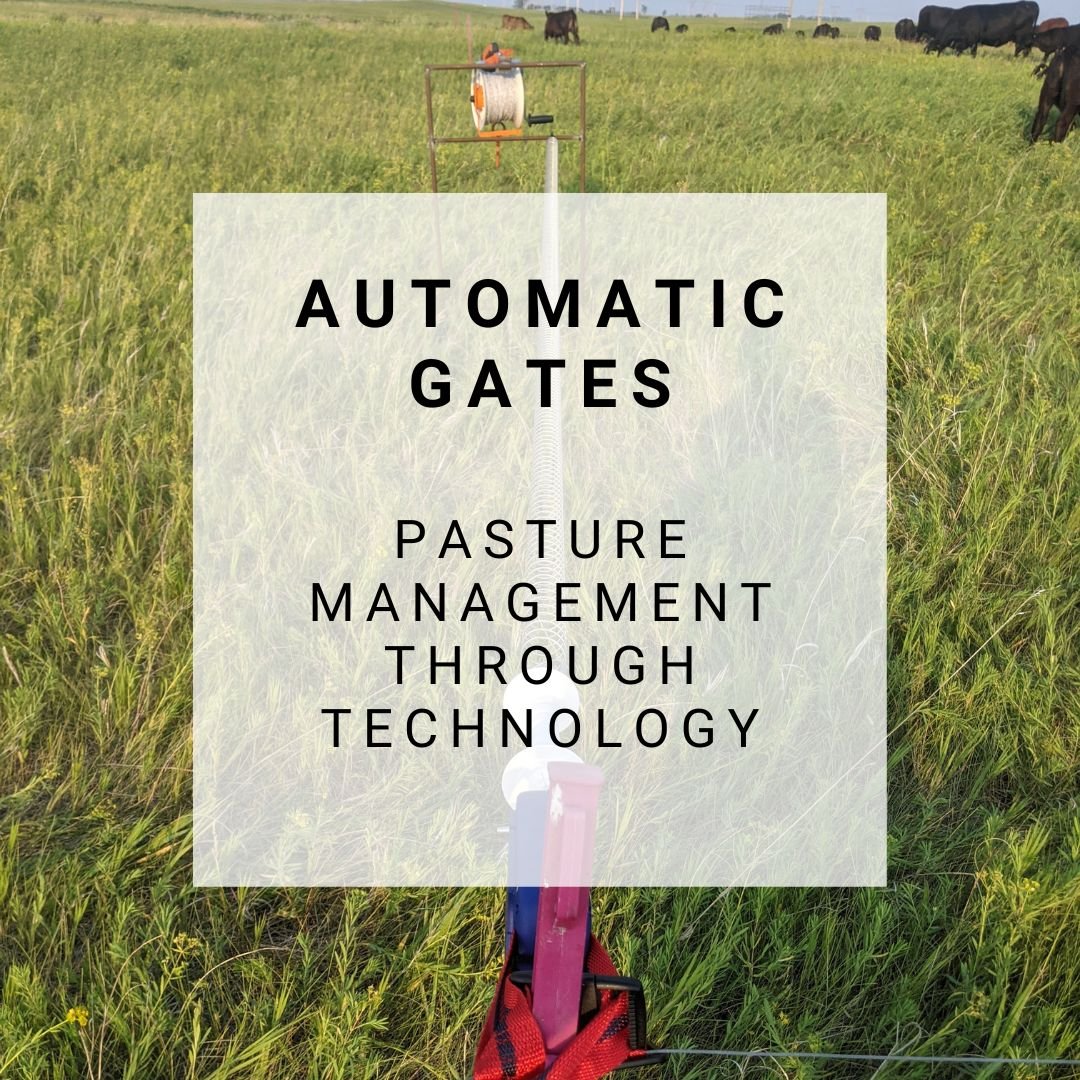 Automatic Gates