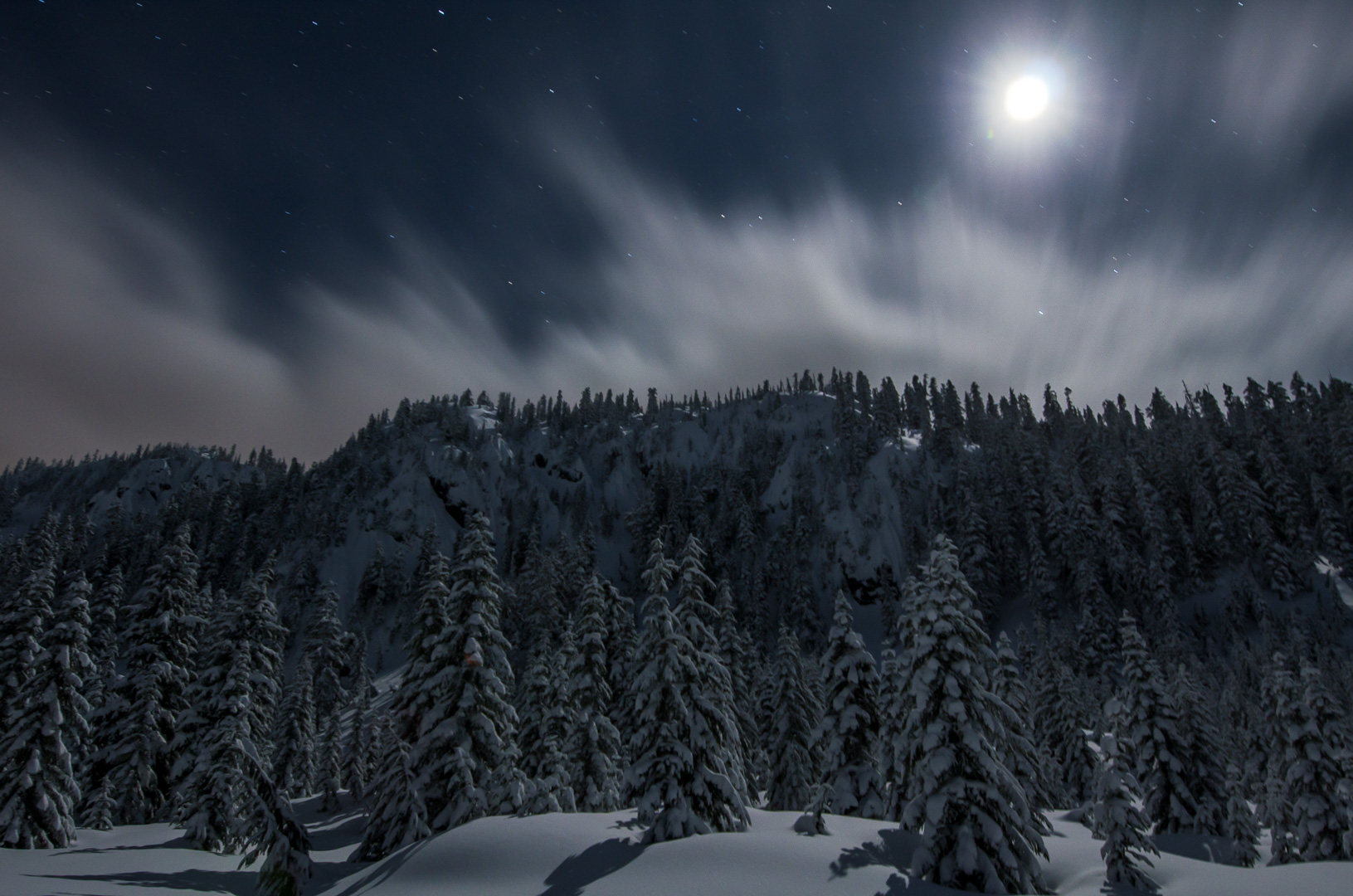 Bright Winter Night Sky