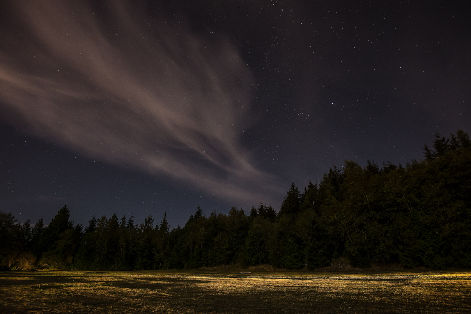 Bright Night in the field