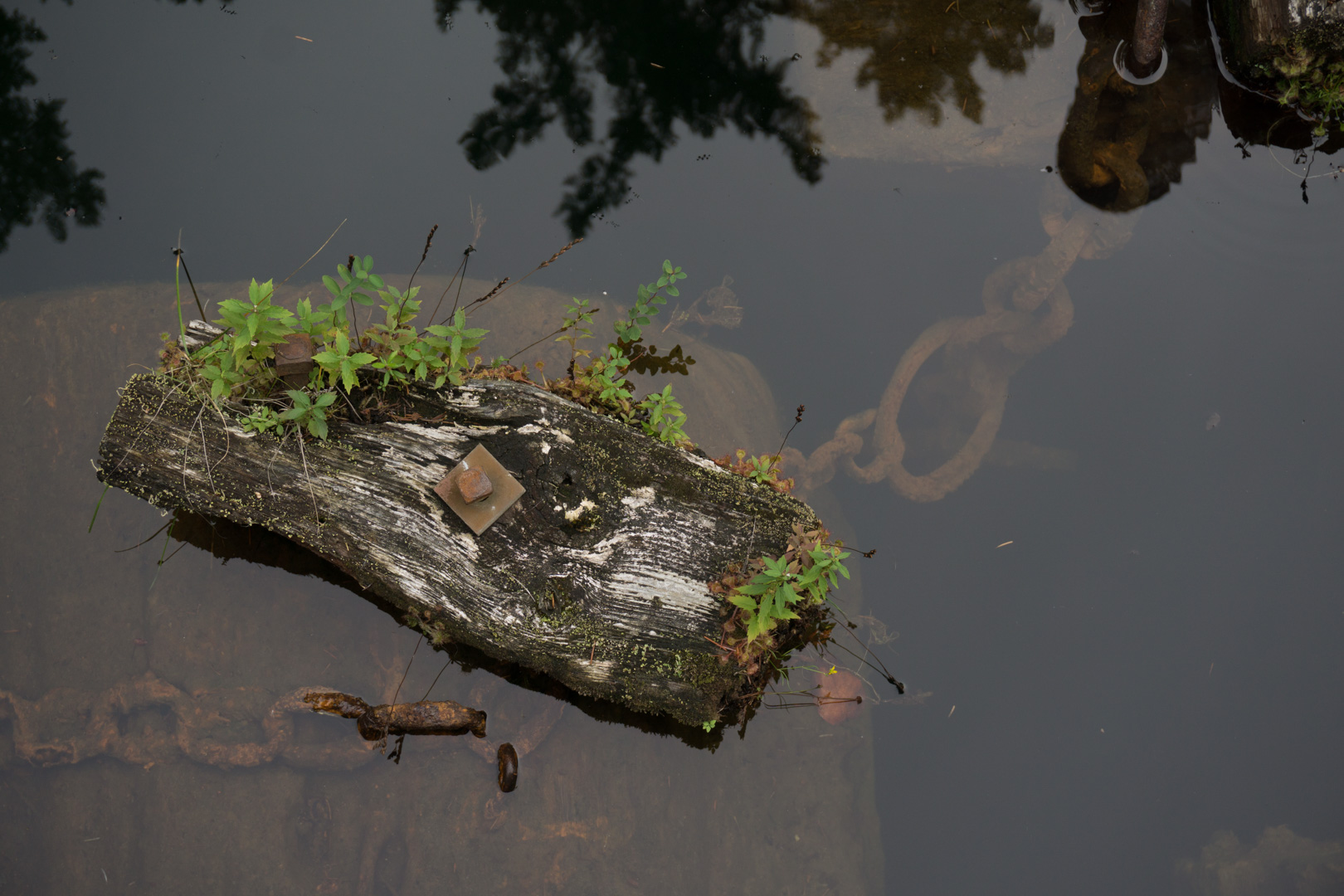 Log Dump Anchors