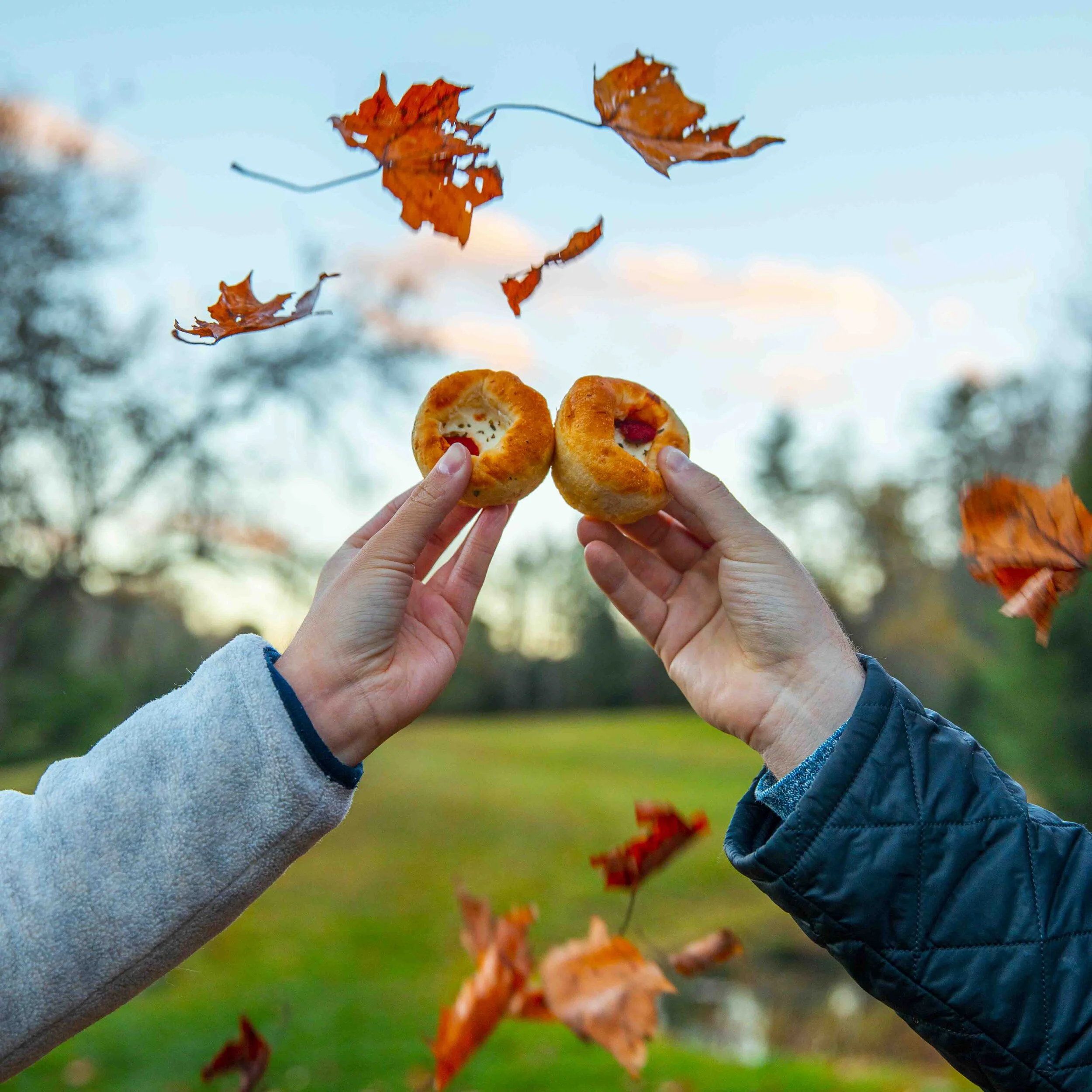 Low Quality_01-2.JPG