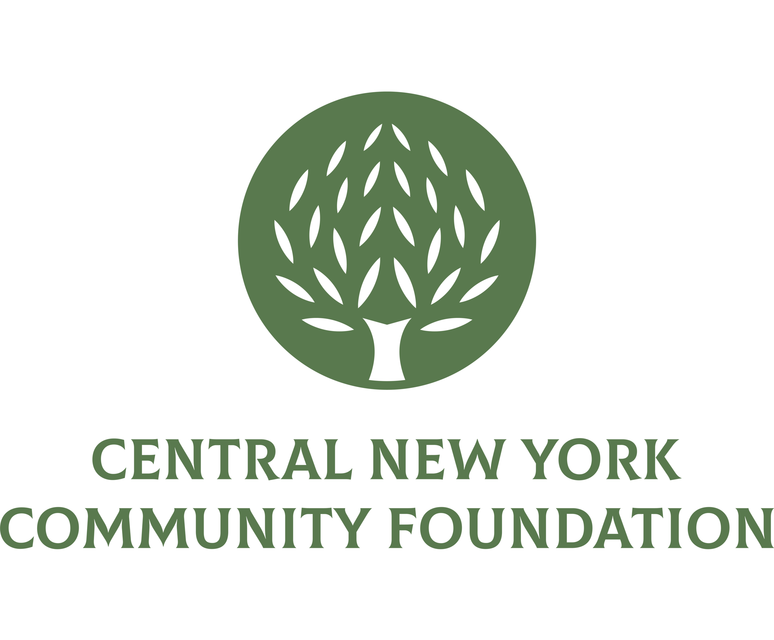 resizedCNYCF-Logo-Green-new (1).png