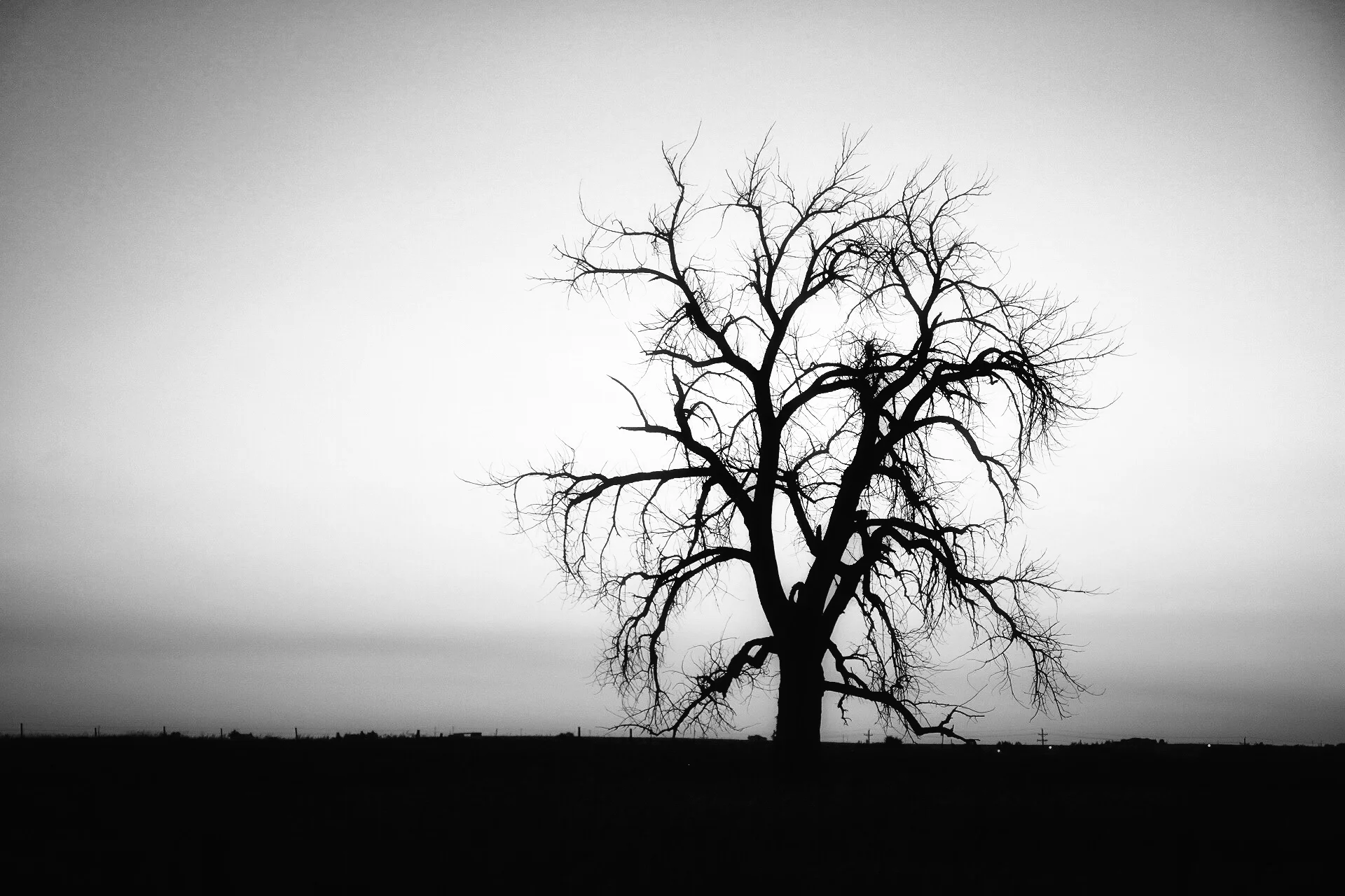 Lonely on The Prairie 