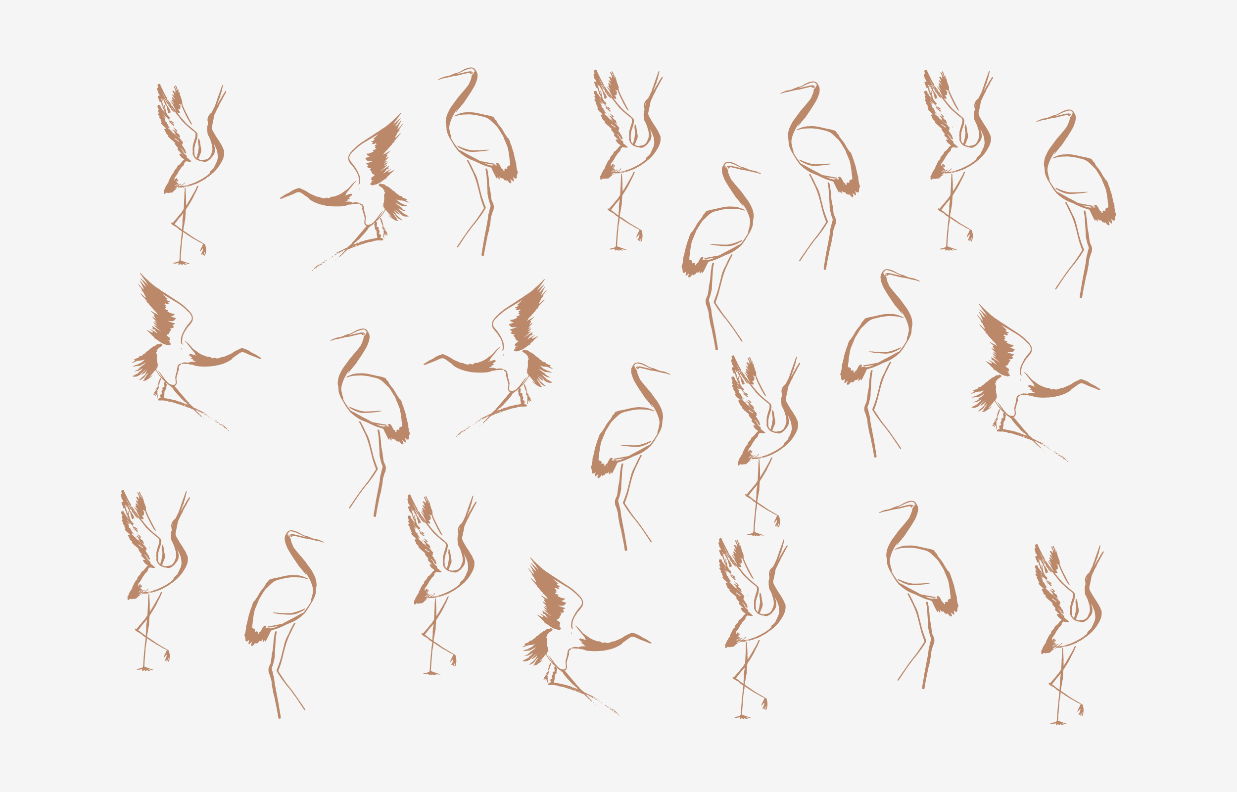 Grulla+Portafolio-05.png