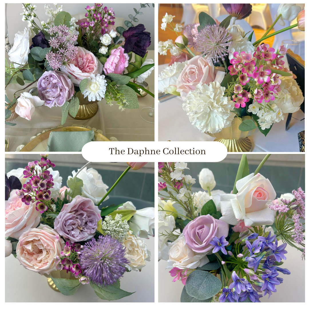 Daphne  Website Collage.png