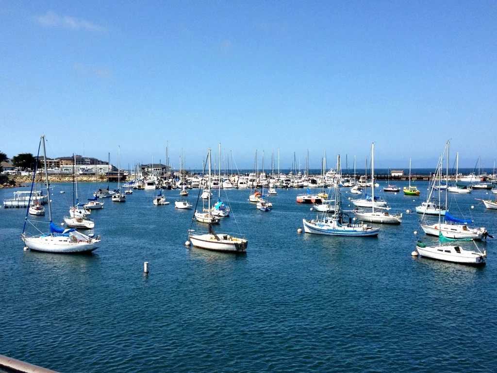Anchor Outs_Sausalito