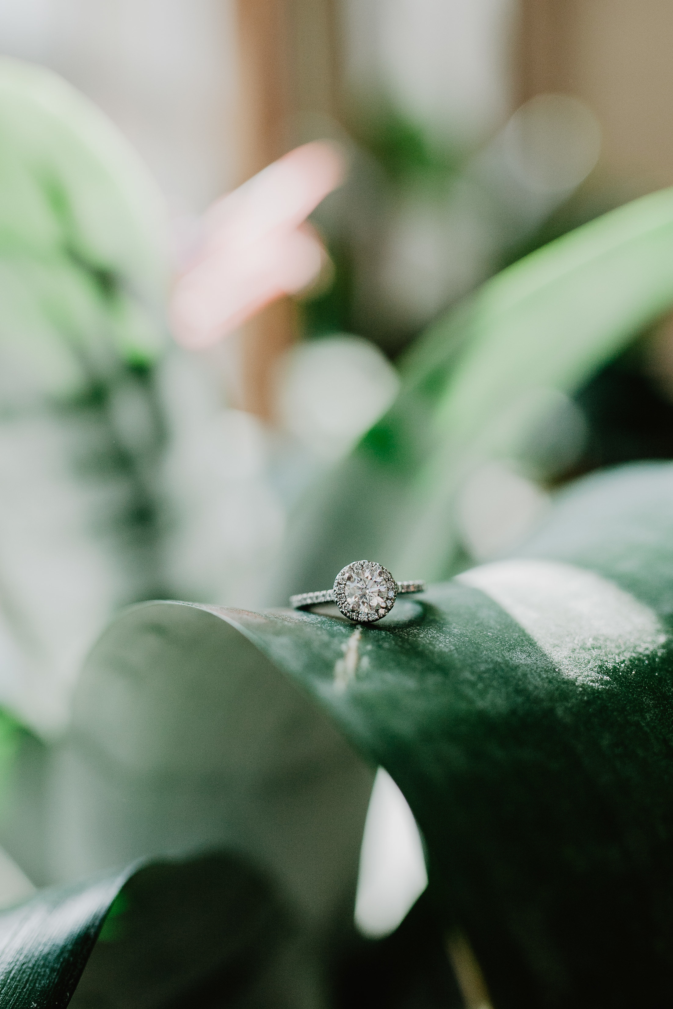 David + Kayla | Indianapolis Wedding