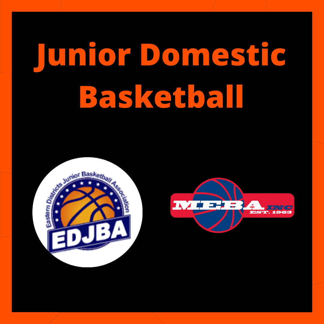 Junior Domestic Basketball (1).png