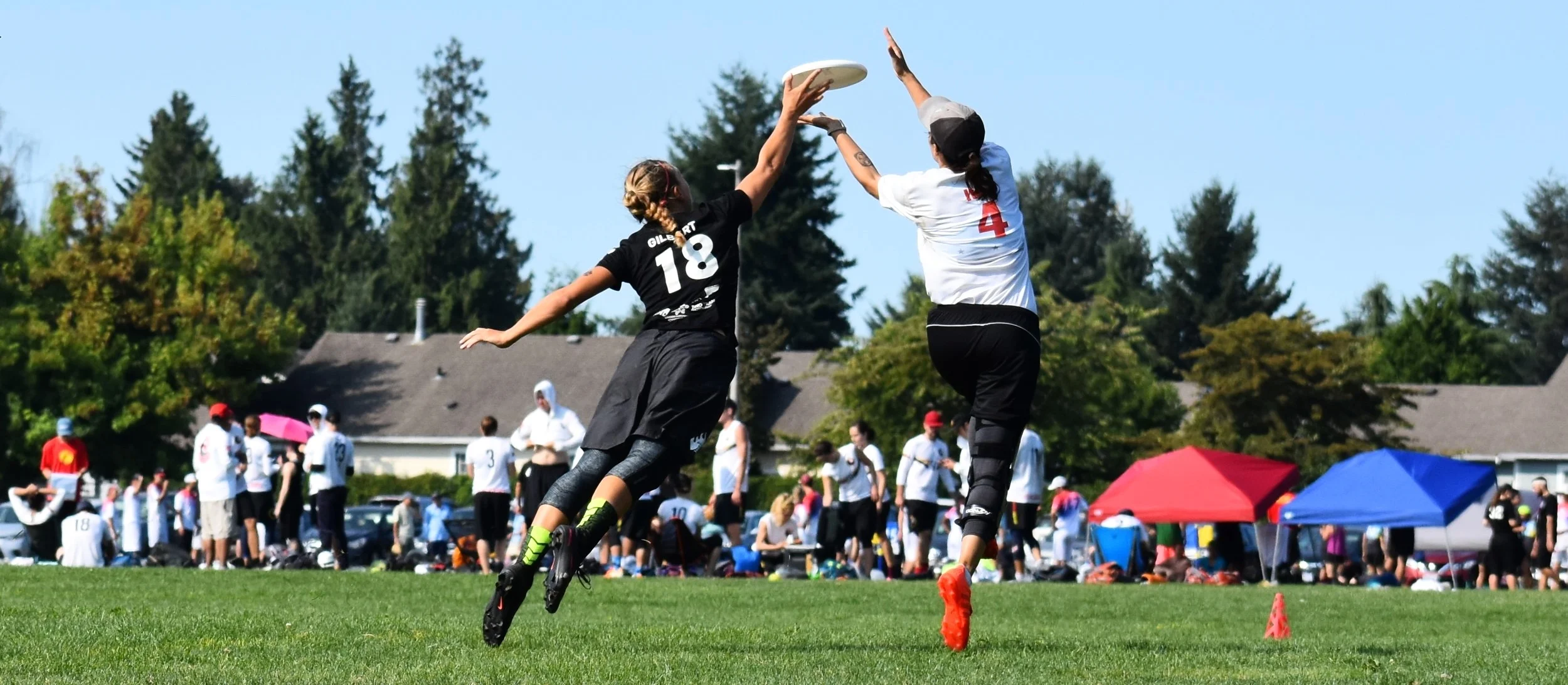 PFF 2017 Riot Scandal.JPG