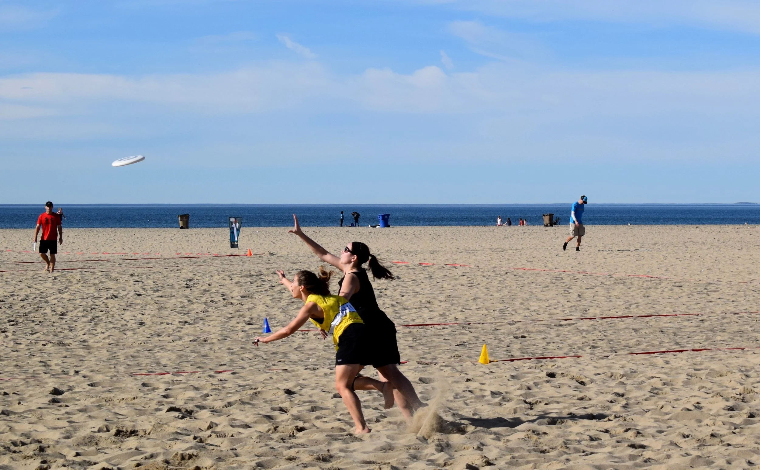 DSC_2043.jpg