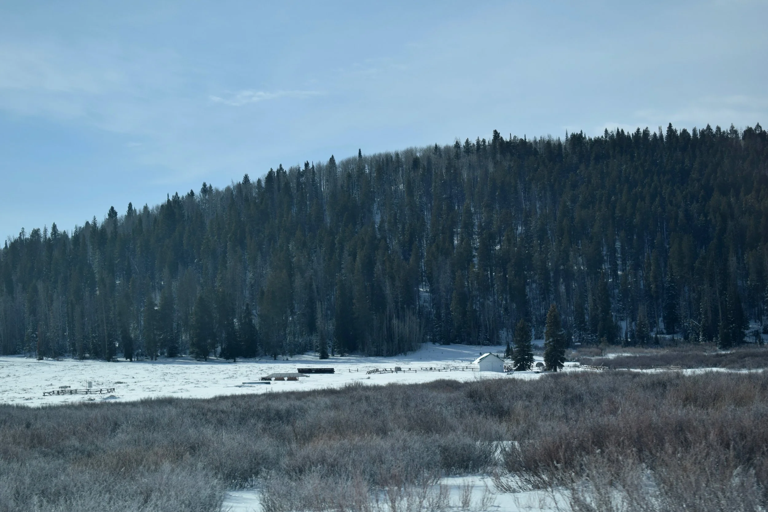 DSC_3374.jpg