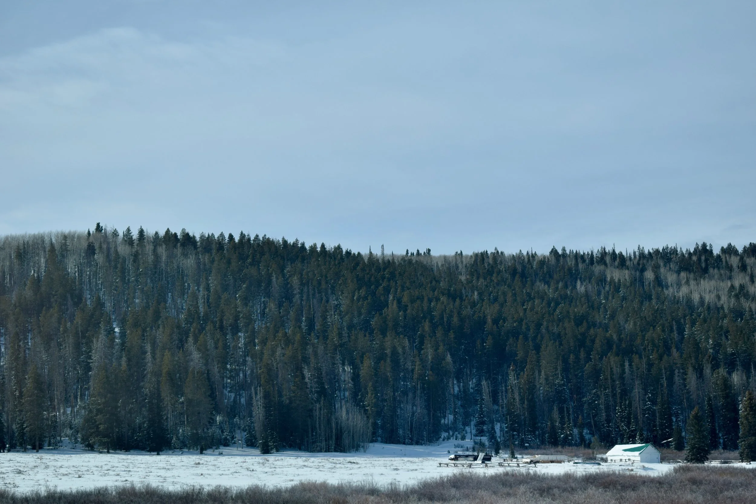 DSC_3376.jpg