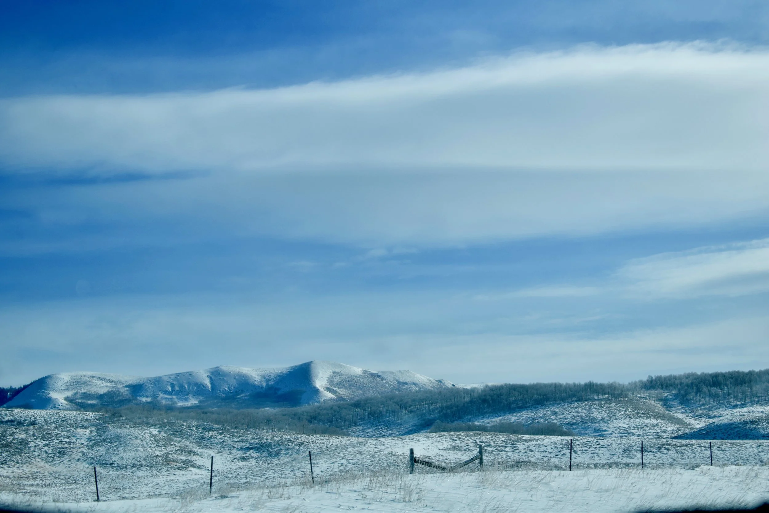 DSC_3378.jpg