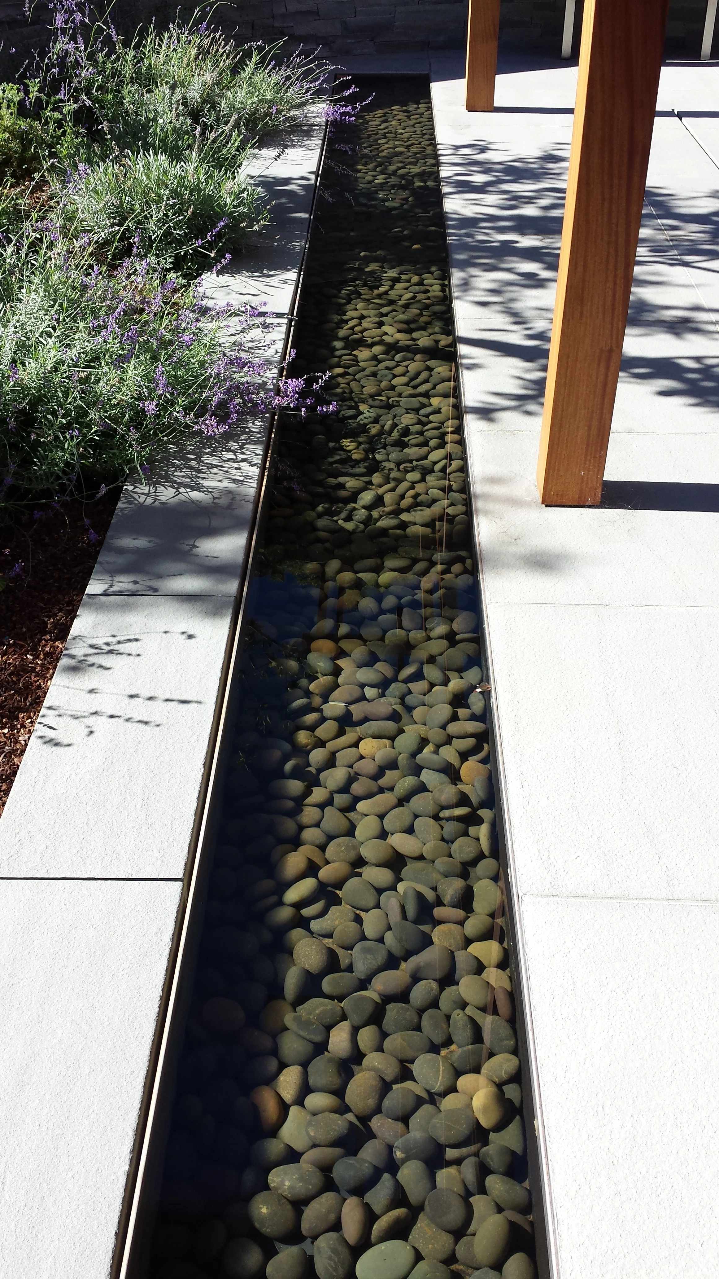 2015-10-21 11.22.44.jpg