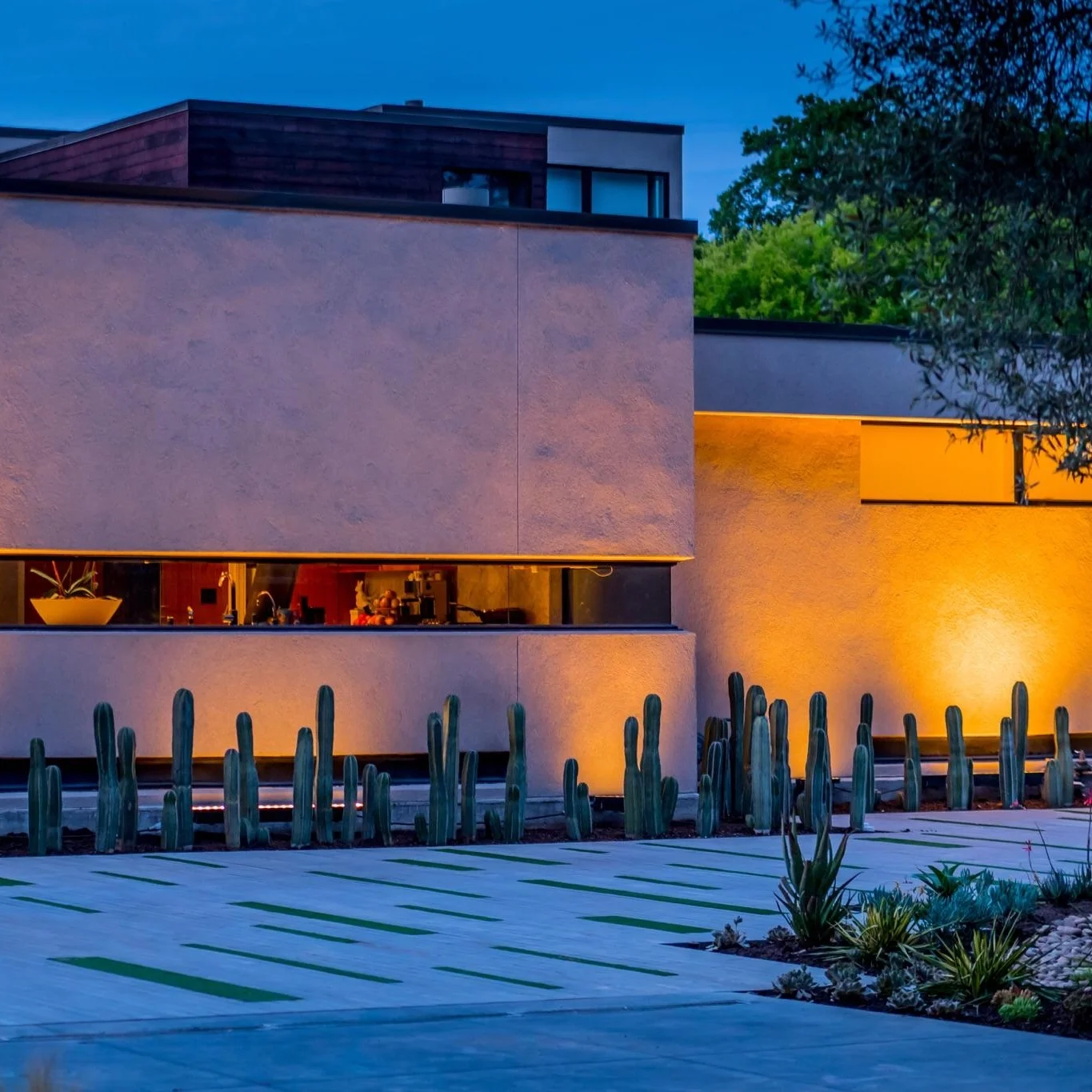 Copy of 班·马特拉, 実習生