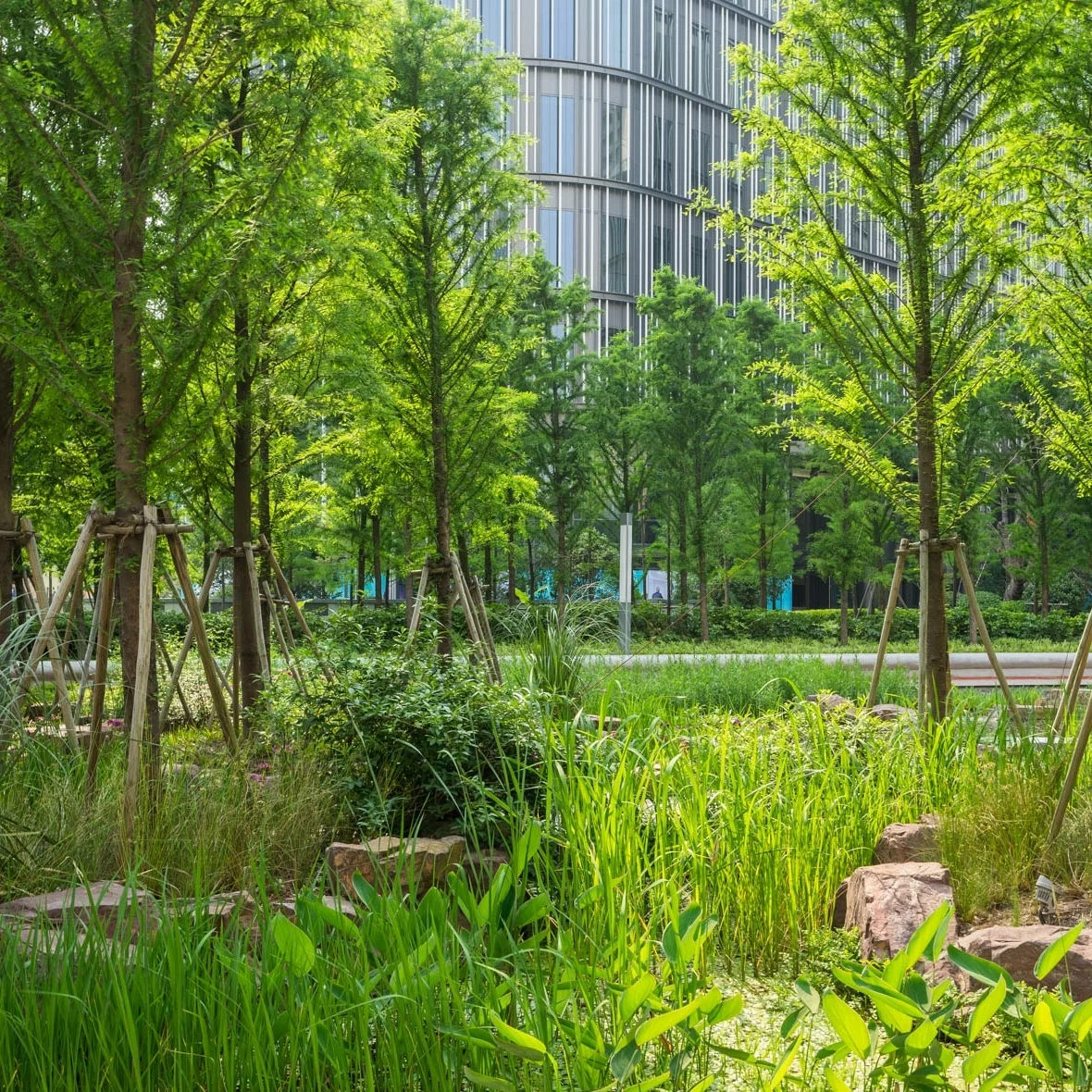 Copy of Y. 謝工, 设计師