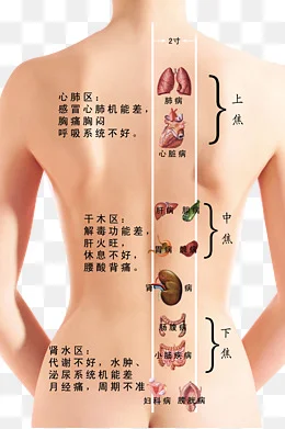 eca02eb34d97f18176be18c27688b5b6.jpg