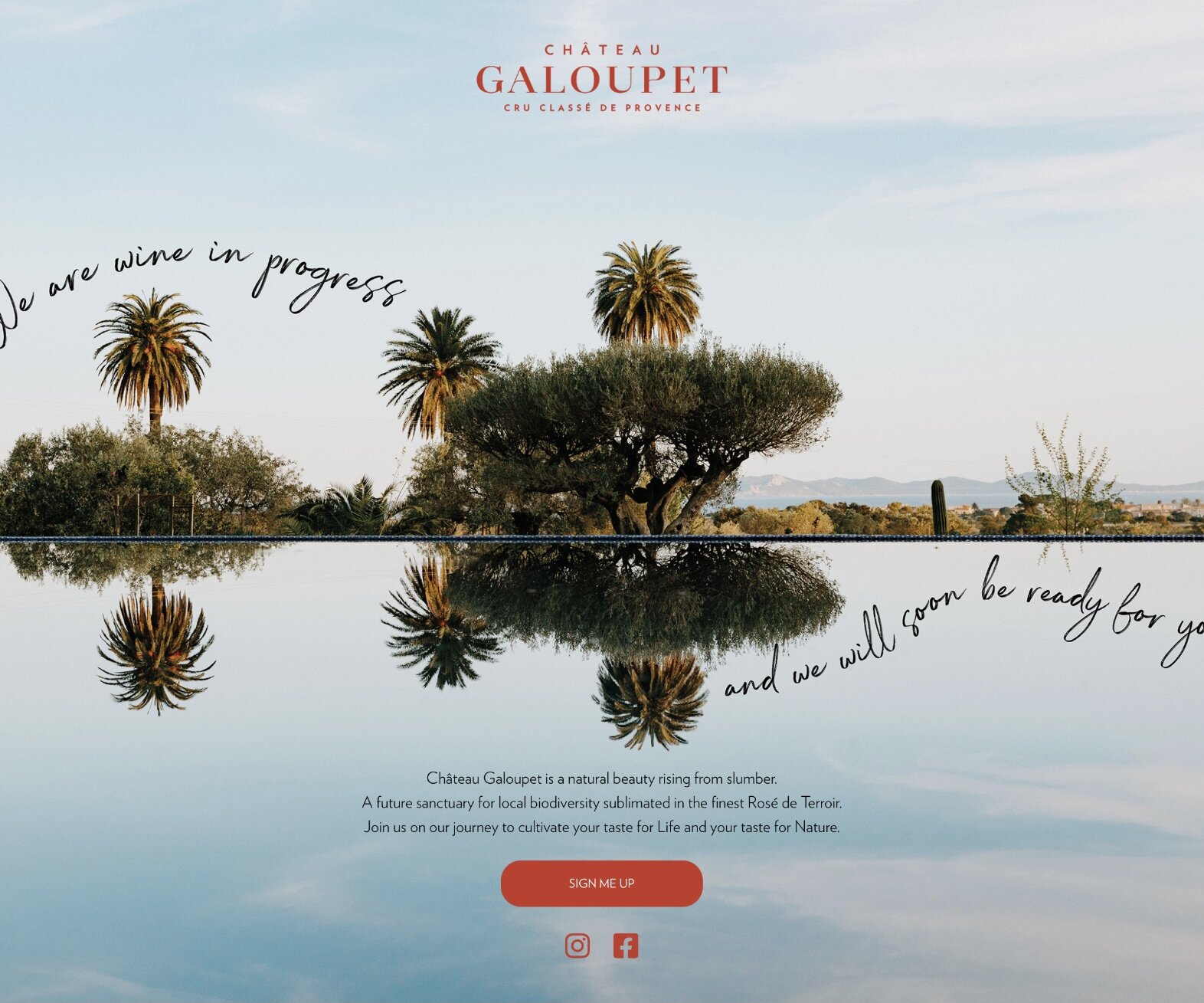Château Galoupet - Organic Wine — brandistiller