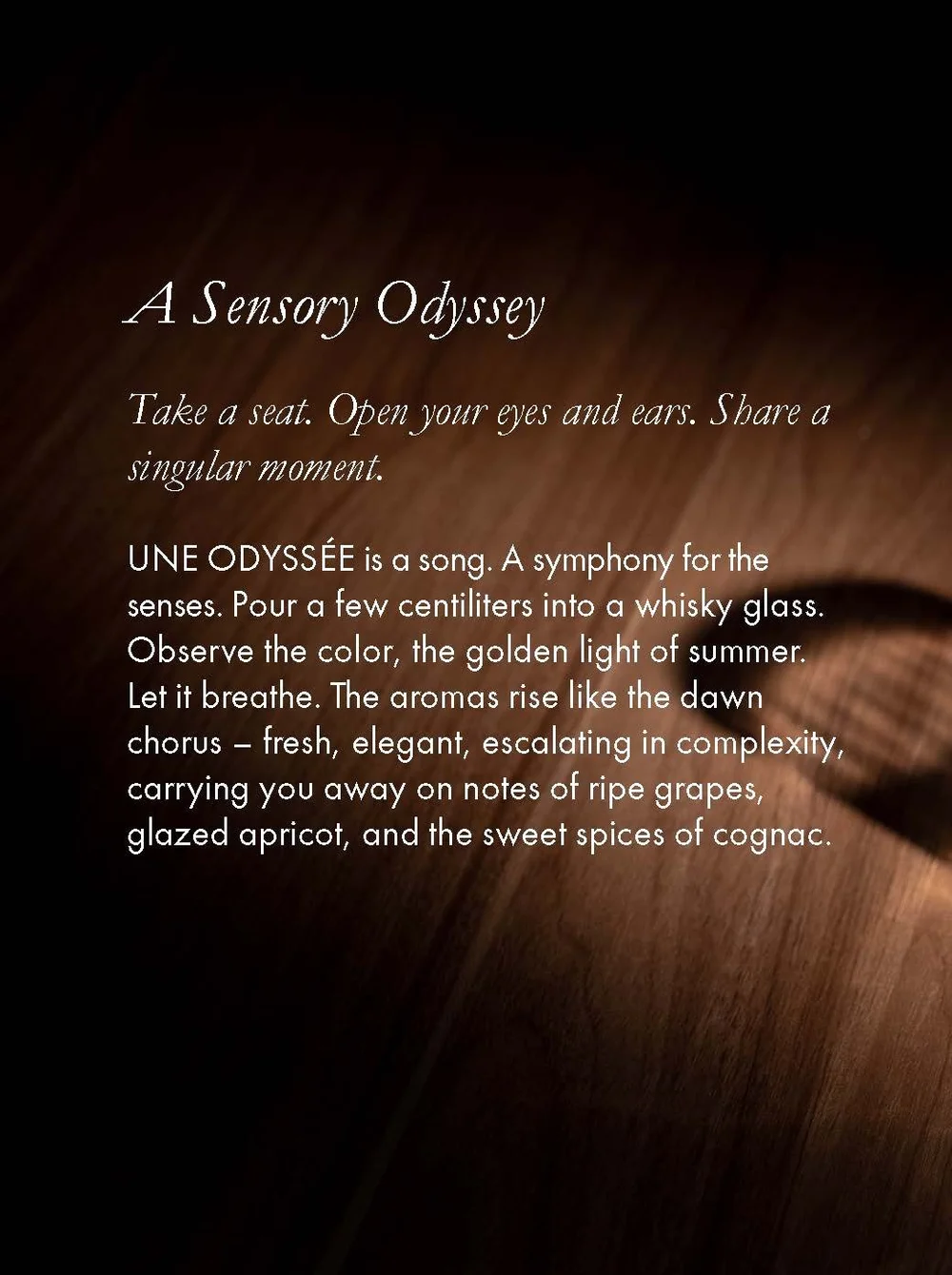 AG PASSPORT Odyssee 7.13.23_Page_10.jpg