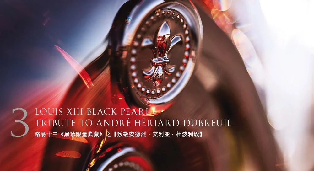 BROCHURE+-+BLACK+PEARL+-+TRIBUTE+TO+ANDRE+HERIARD+DUBREUIL_Page_14.jpg