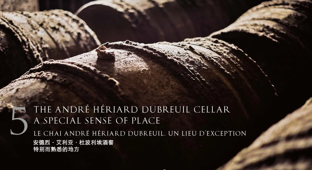 BROCHURE+-+BLACK+PEARL+-+TRIBUTE+TO+ANDRE+HERIARD+DUBREUIL_Page_28.jpg