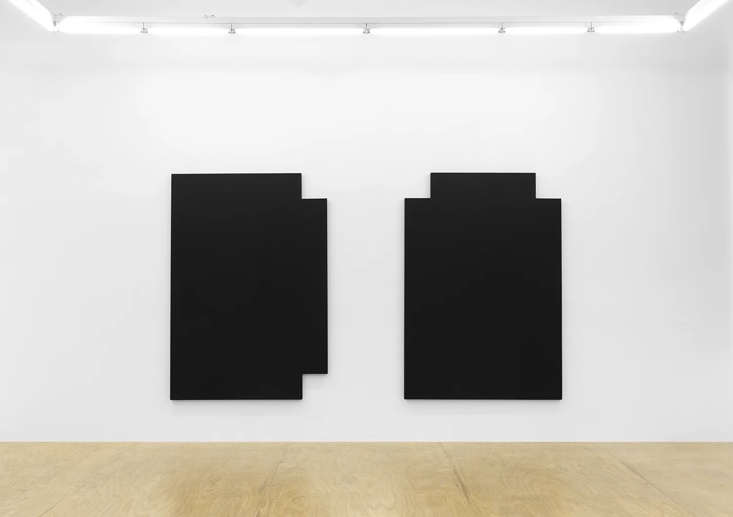 Joshua Evan, Shielding Monochrome #4 (L) and Shielding Monochrome #5 (R), EMF shielding paint on canvas, 2017, courtesy ASHES/ASHES