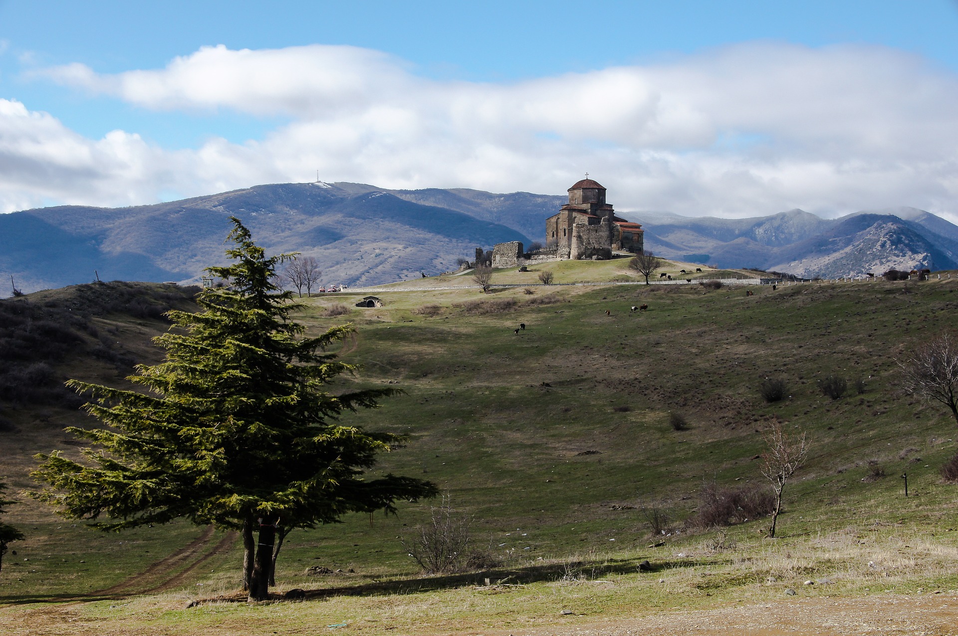 georgia landscape.jpg