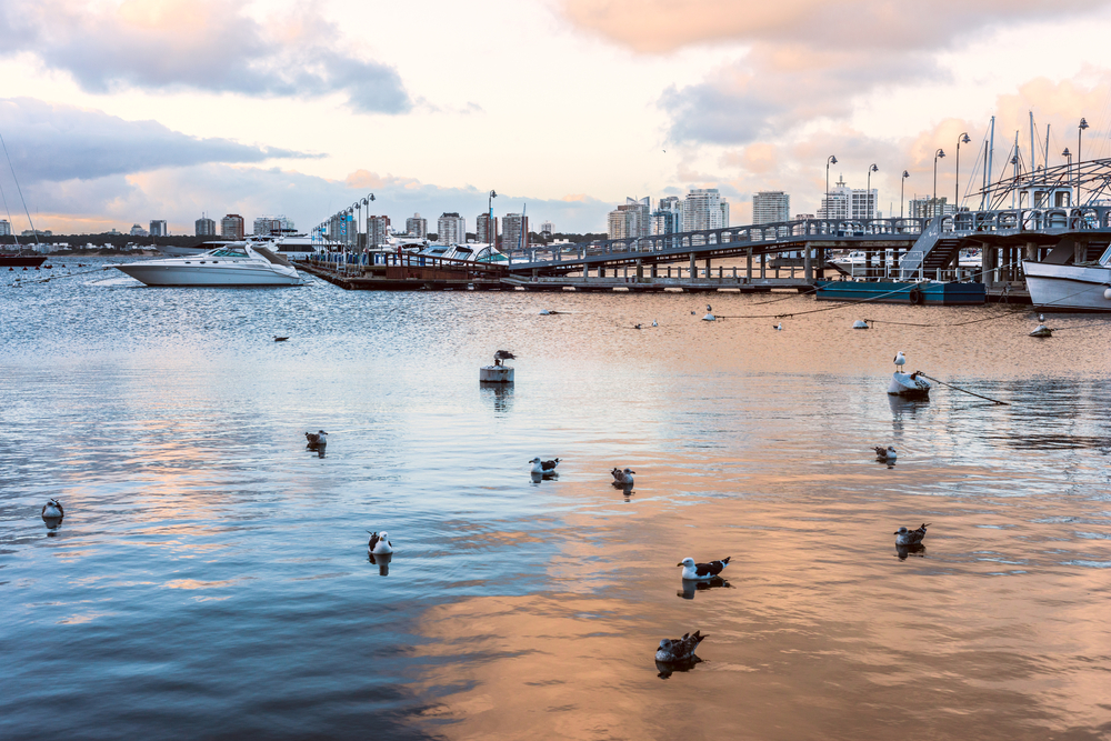 Punta del este waterfront.jpg