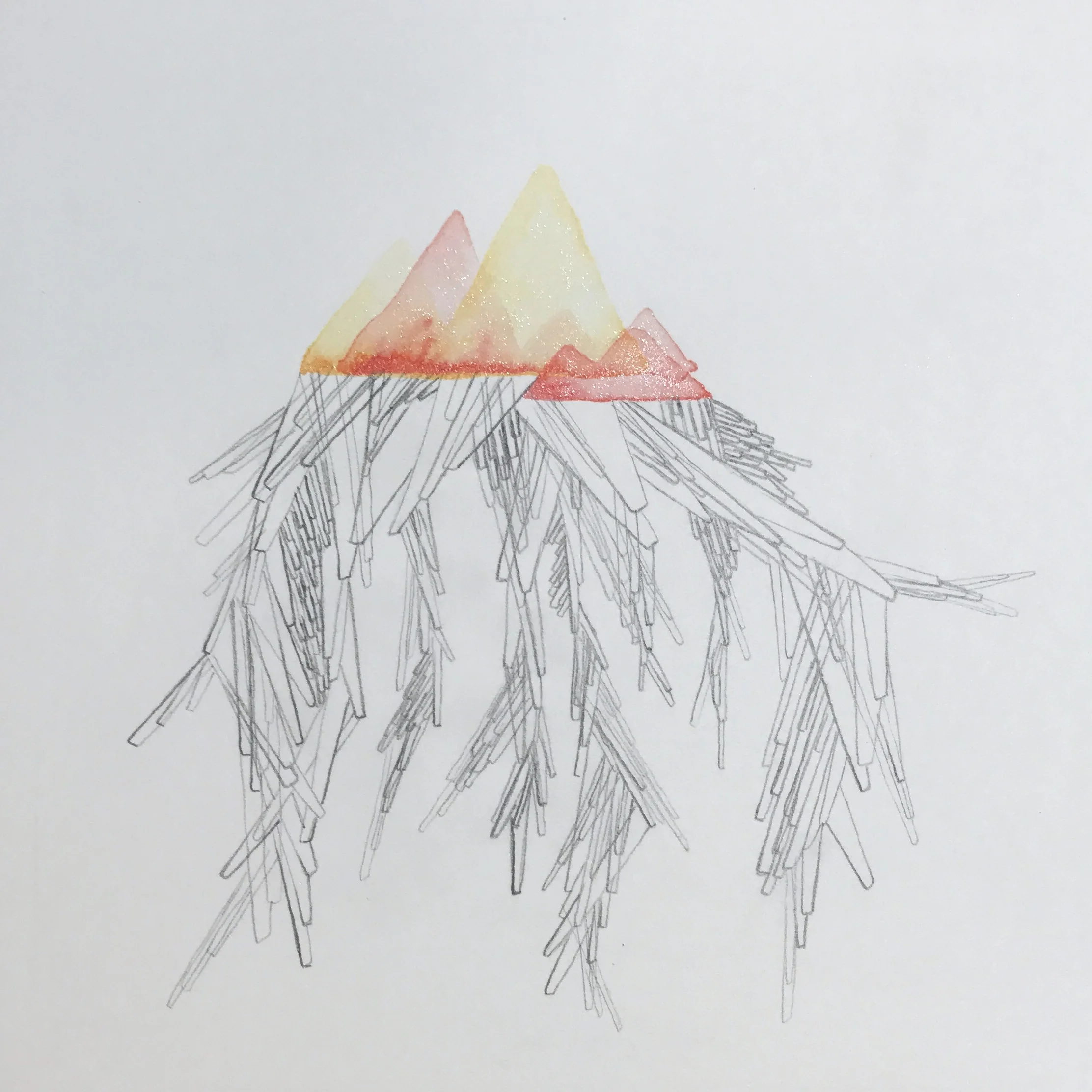 Root
