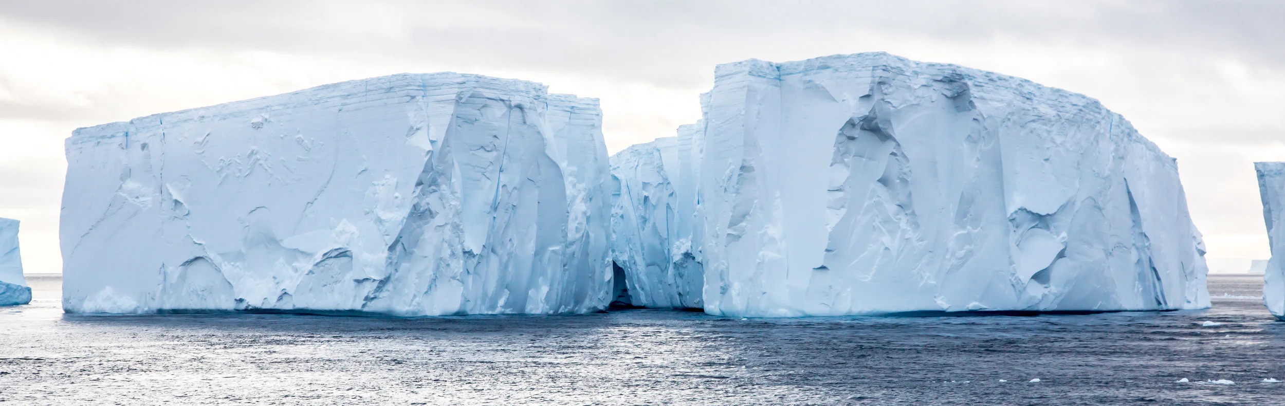 Top Antarctica Shots-62.jpg