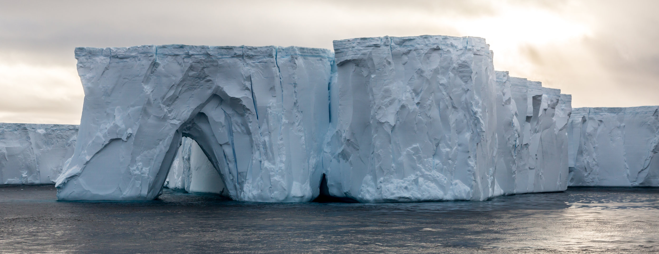 Top Antarctica Shots-68.jpg