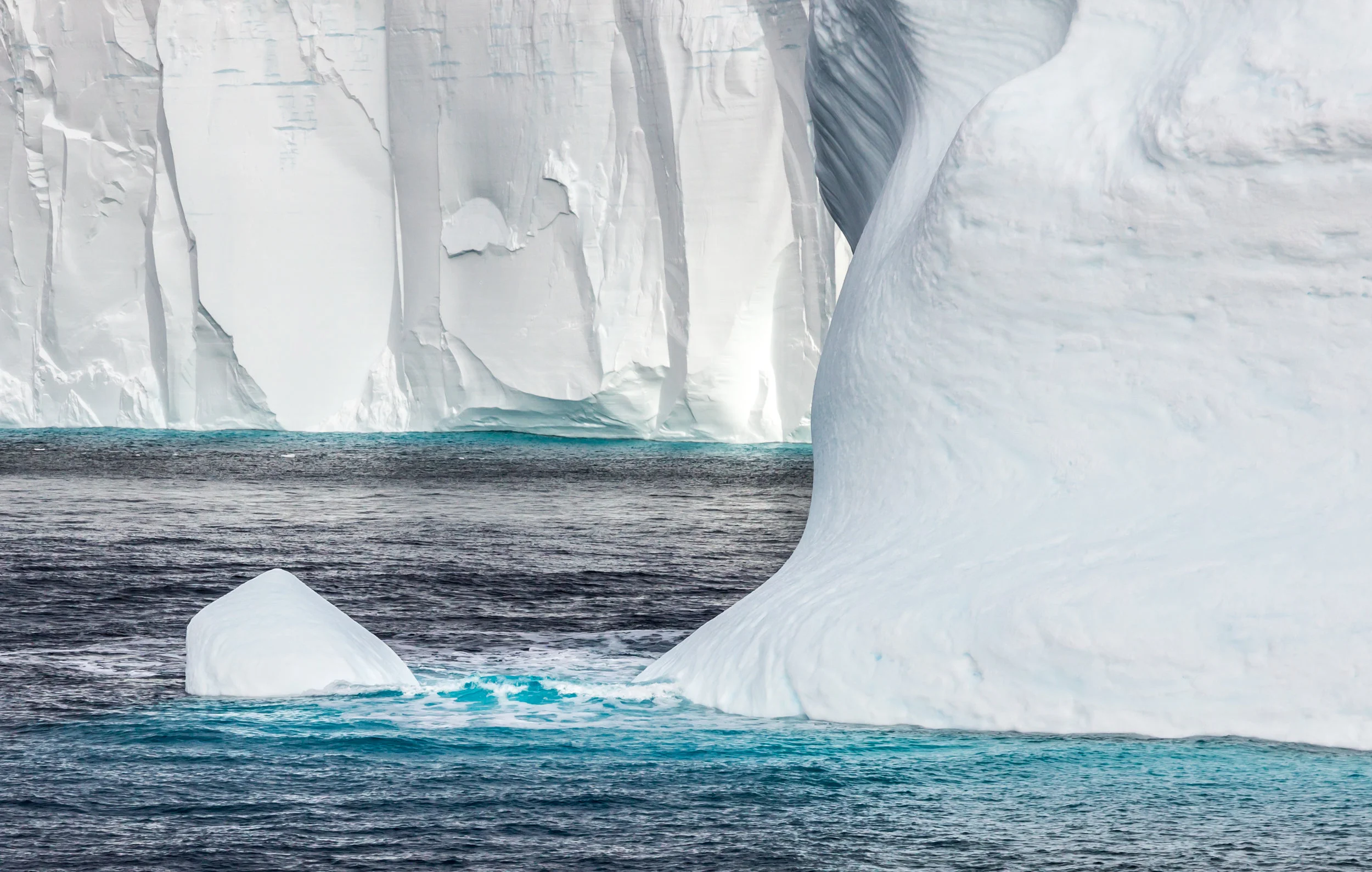 Top Antarctica Shots-79.jpg