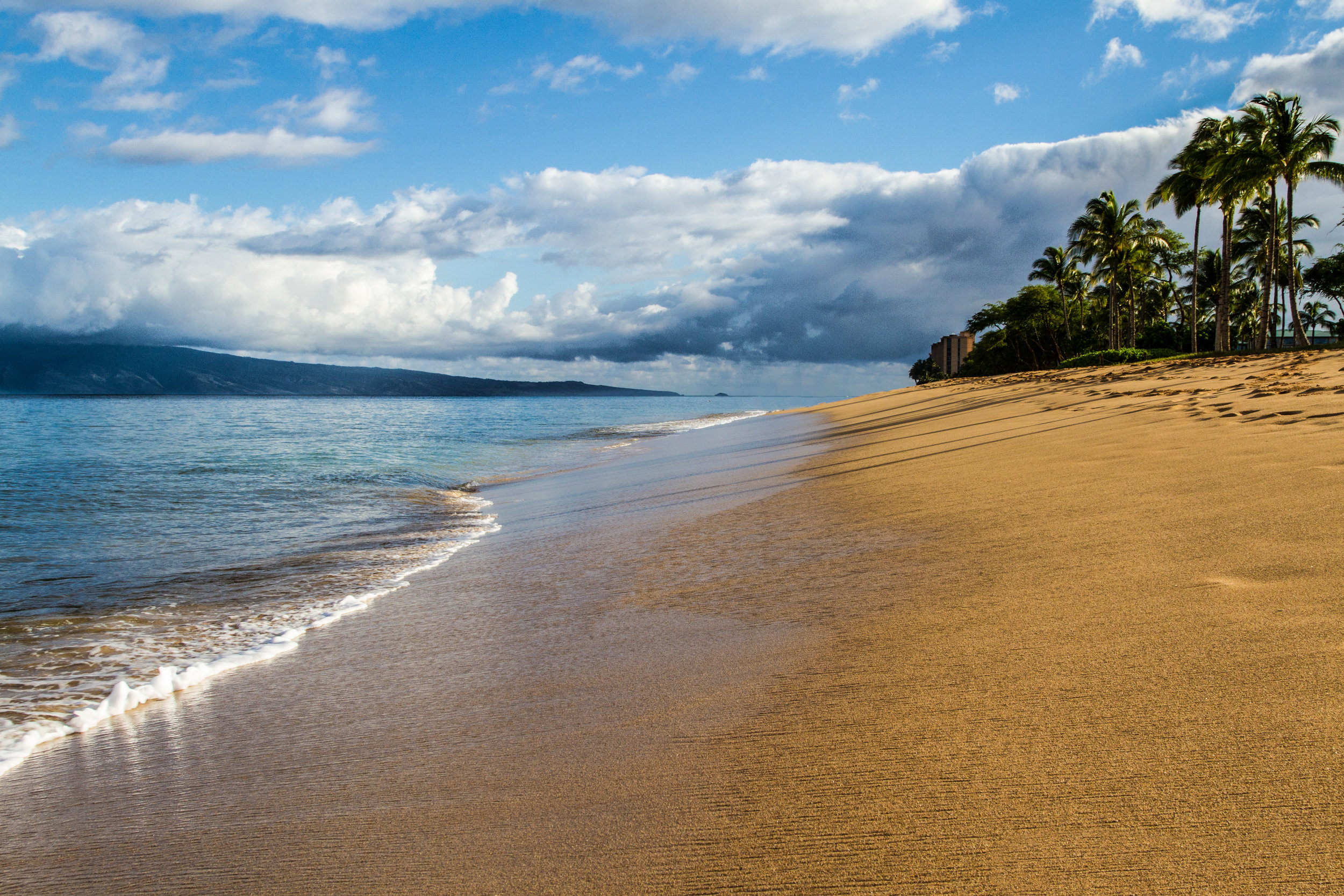 Vitamin Sea