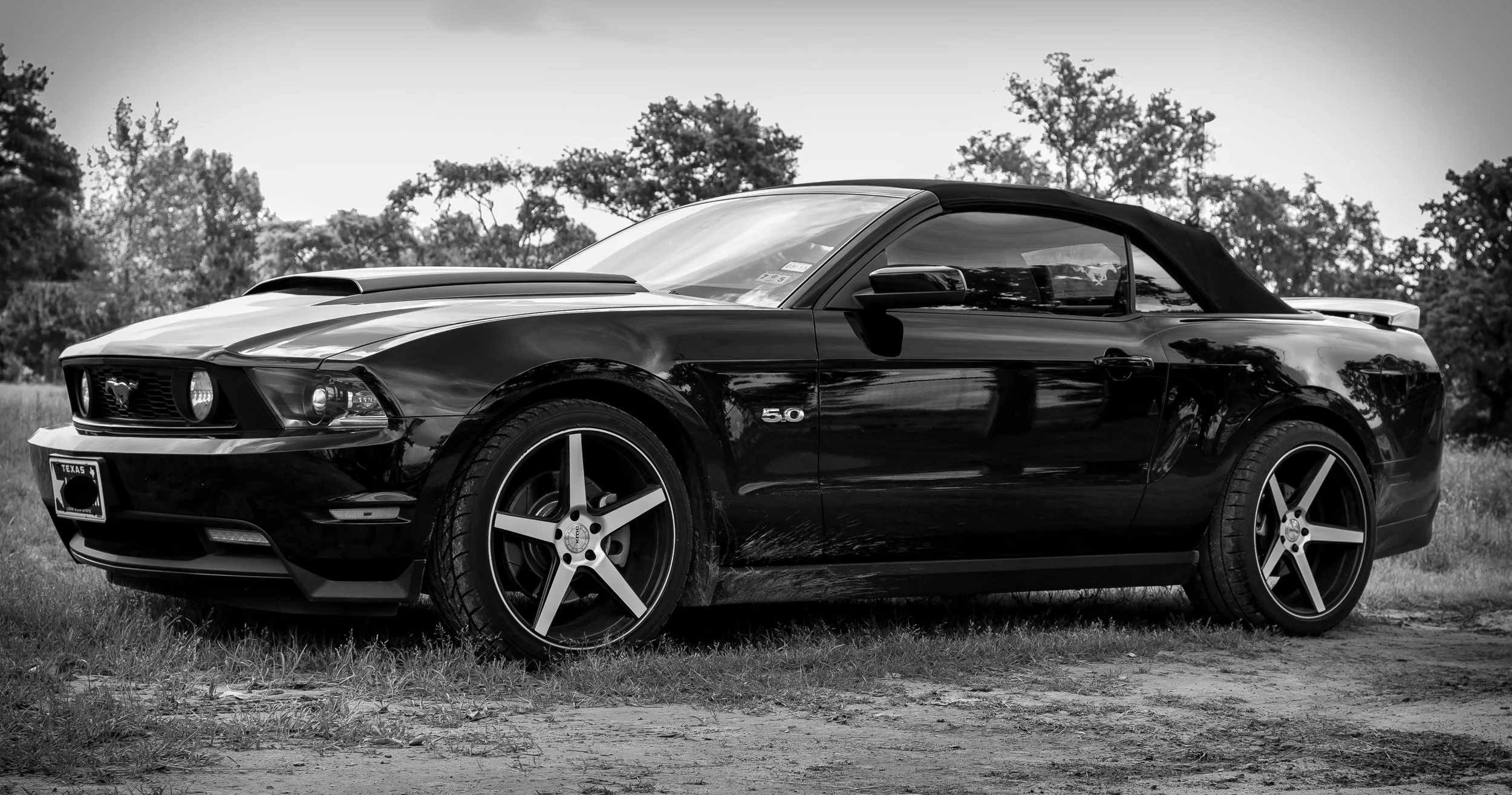 Mustang.jpg