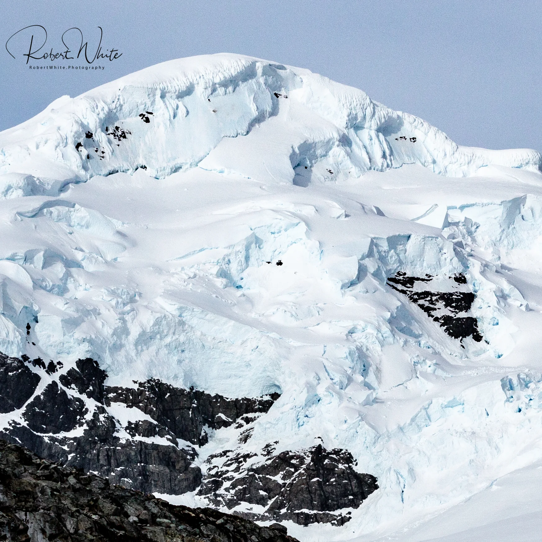 Antarctica Redo wm3 -110.jpg