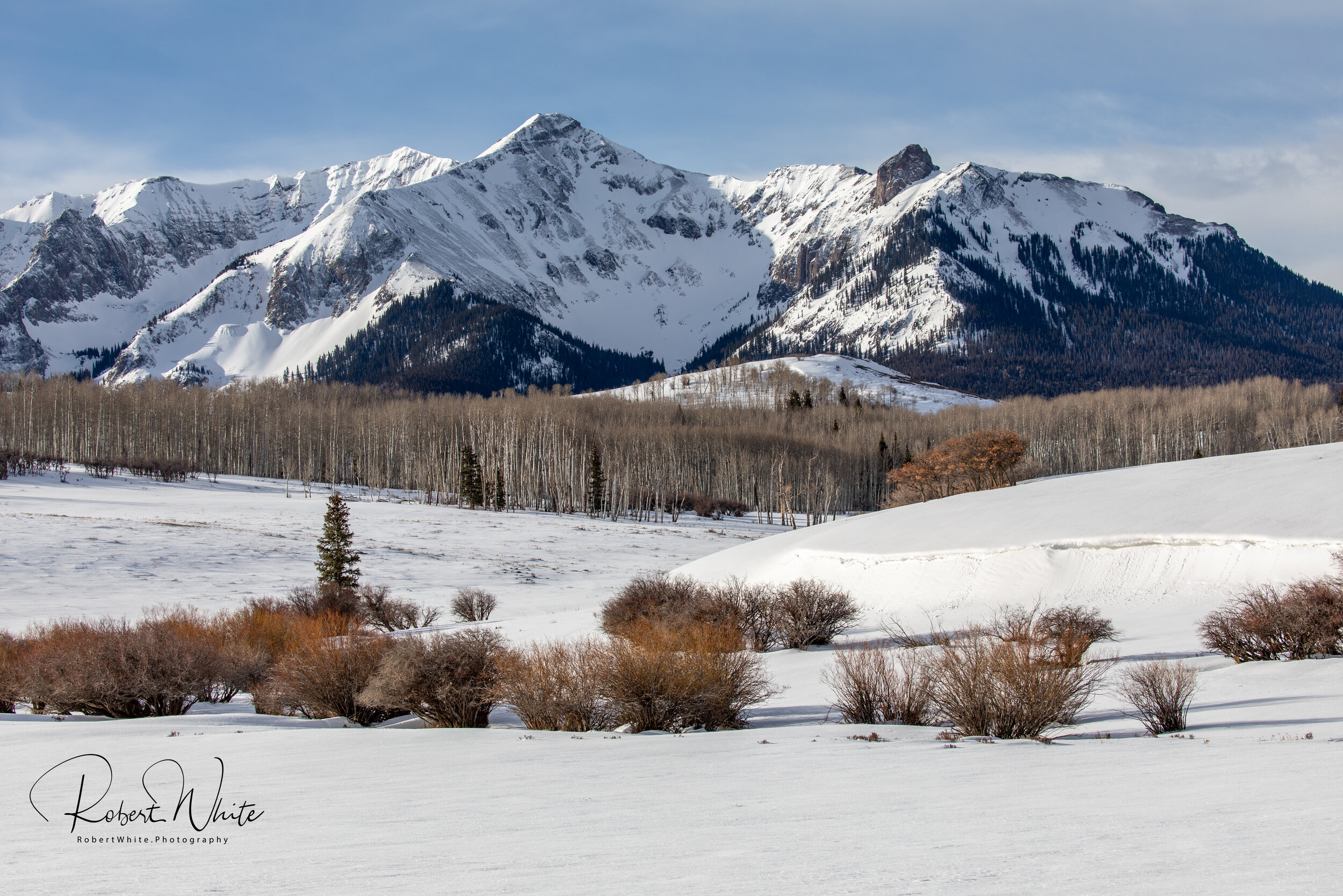  Beautiful ranch land just north of the San Juan mountains and west of Ridgway Colorado off highway 62. 